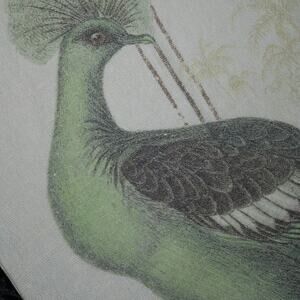 RARE The Crowned Pigeon Pottery Barn Decorative 2012 20x20 Sham Bird Text GUC